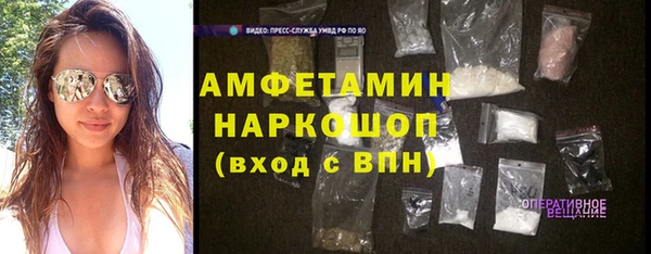 стаф Аркадак