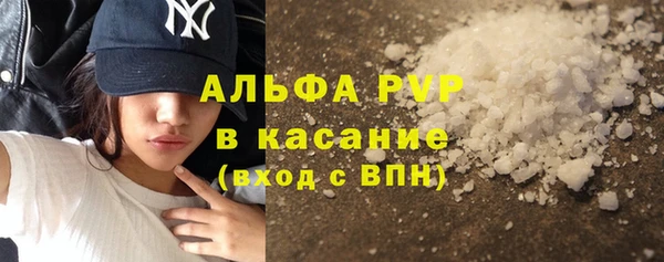 стаф Аркадак