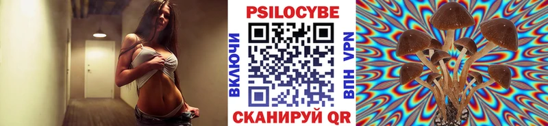 Галлюциногенные грибы MAGIC MUSHROOMS  blacksprut   Кизел 